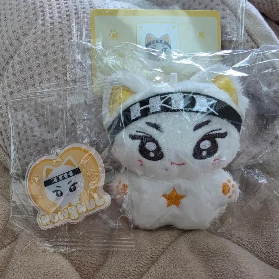 ENHYPEN Garden Doll for Sale