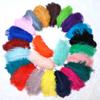 10Pcs Table Accessories Ostrich Feathers Stage Props Artificial Ostrich Feather  Party Decoration