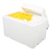 Foam Queen Box Bee Mating Foam Beehive Queen Cage Mini Queen Rearing Boxes for Beekeeping