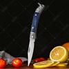 Mini Zakmes van Roestvrij Staal Fruit Schilmes met Antislip Handvat Multifunctioneel Klapmes voor Huishoudelijk Koken