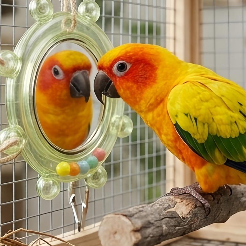 Pet Bird Mirror Play Toy for Small Companion Birds, Rotating Round Cage Mirror with Plastic Frame, 2 Piece Enrichment Set for Routine Use