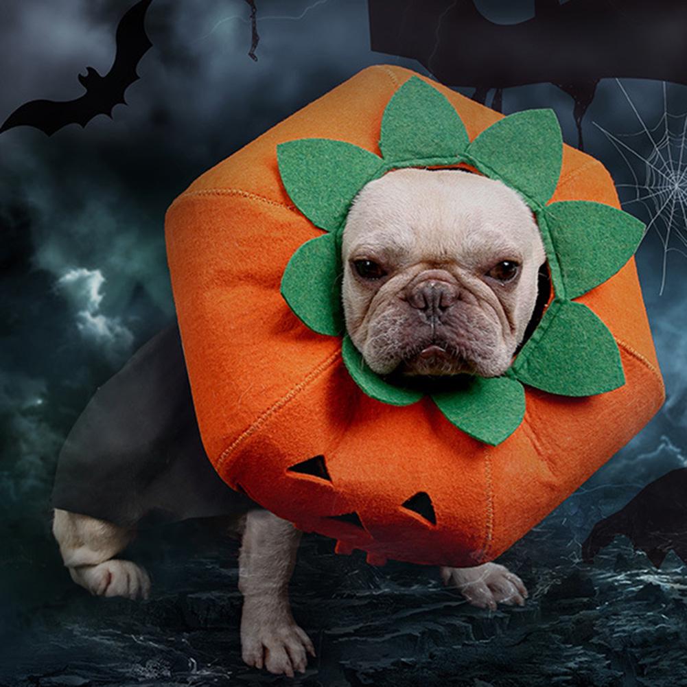 dog biting costume