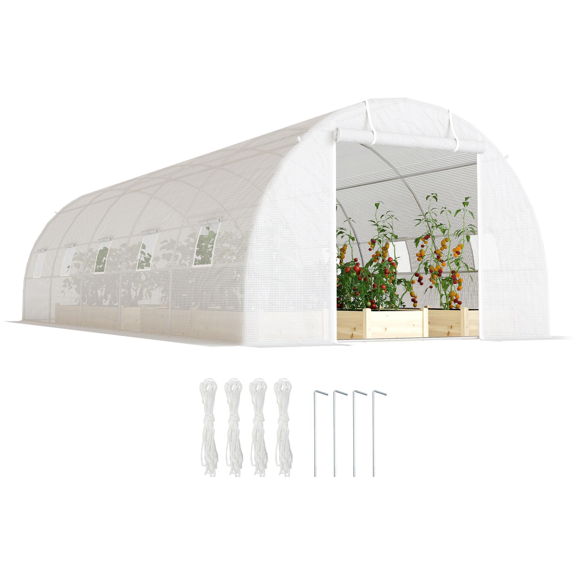 Outdoor Greenhouse Tunnel Greenhouse 8x3x2 m