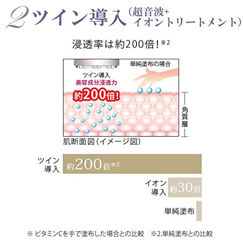 Ebisu Cosmetics (EBiS) Ultrasonic Facial Beauty Device Twin Elenaizer Premium Home Beauty Set