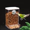 Dustproof Bird Food Feeder Hangable Feeding Box Automatic Bird Feeder Anti-spill Bird Food Container with Large Capacity