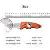 Stainless Steel Fruit Knife Boning Knife Kitchen Meat Cleaver Kitchen Vegetable Cutter Sushi Knives