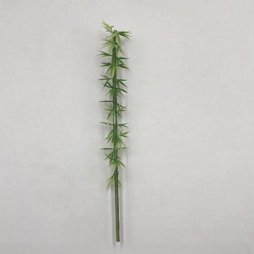 [DauStage] Green Cherry Blossom, Bamboo, Palm Trees, Willow, Pine Forest Model, N Gauge, Diorama, Railway, Architectural Tree Miniature, 14cm Bamboo,