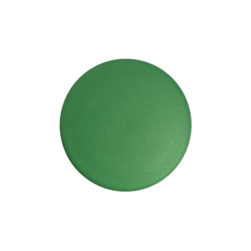 CHINT Non-Illuminated Push Button Switch