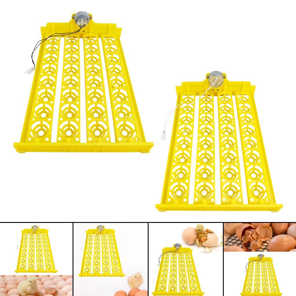 Plastic Egg Incubator Automatic Egg Turner 32 Eggs Hatching Poultry Temperature Control for Chicken Birds Goose Duck Quail