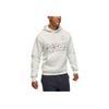 Jordan FW25 MJ PSG Statement Fleece Pullover Hoodie Unisex Hoodies White HV3424-133