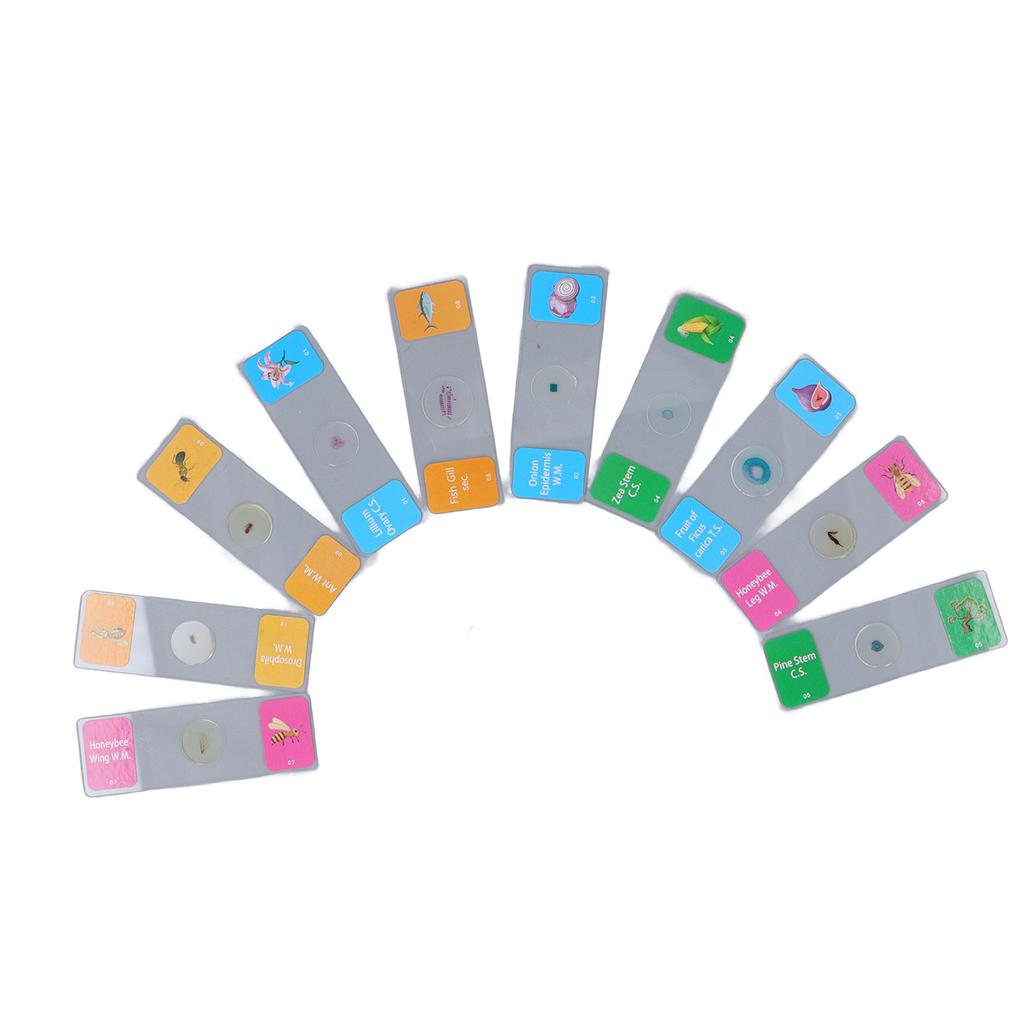 10Pcs Microscope Slides with Specimens Animal Plant Bug Glass Slides Laboratory Supplies for