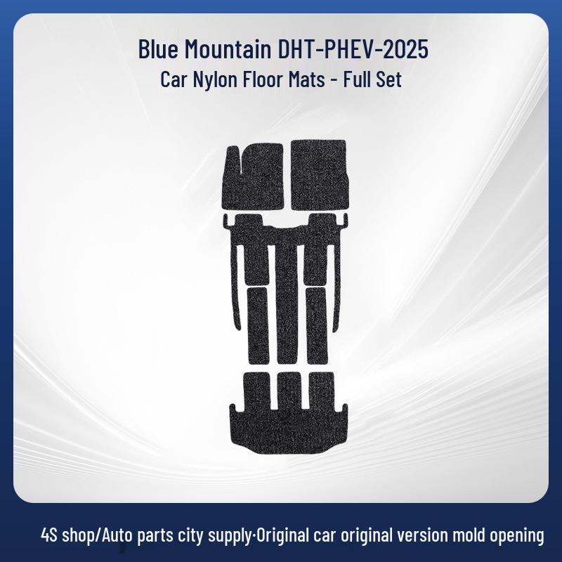 Blue Mountain DHT-PHEV-25 Removable Nylon Car Floor Mats