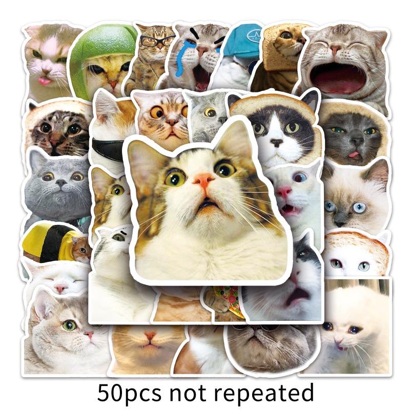 50PCS Funny Cat Sticker Creative Diy Laptop Case Water Bottle Sticker