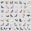 50 Cute Dove Graffiti Stickers for Mobile Phone Computer Waterproof Decorative Stickers Creative Dove Stickers