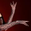 Ultra Thin Sheer Long Gloves Floral Printing Dance Gloves Shiny Oil Shiny Gloves  Dance Performance