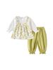 Floral Baby Girl 2-Piece Set: Long Sleeve Top & Pants for 0-6 Years