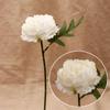 Handmade Artificial Paeonia Flowers Elegant Simulation Peony Bouquet  Living Room Decoration