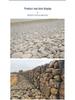 Galvanized Gabion Wire Mesh Flood Control Revetment Box and Reno Mattress