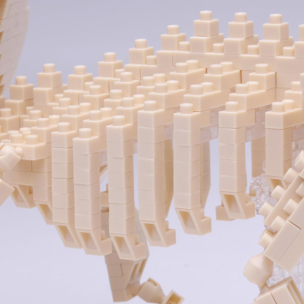 Kawada Nanoblock Triceratops Skeleton Model NBM-017