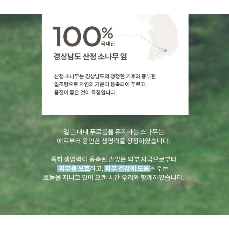 MISSHA Layering Fit Pine Phyto Mucin Serum Cushion - 2 Colors