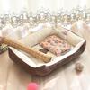 Popular Four Seasons Universal Pet Bed: Dog & Cat Nest for All Sizes