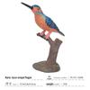 Cross-border Bird Model Toys: Kingfisher, Eagle, Woodpecker, Parrot, Toucan - Enhancing Children's Cognitive Skills