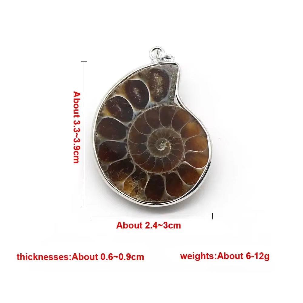 

Подвески из натуральных камней, аммонит, ракушка, улитка, океан, реликвии, раковины, подвески, изготовление украшений своими руками, ожерелье в виде животных, аксессуары 1 шт. 30x35-40x45mm
