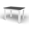 NP Table 120x80 Black + White