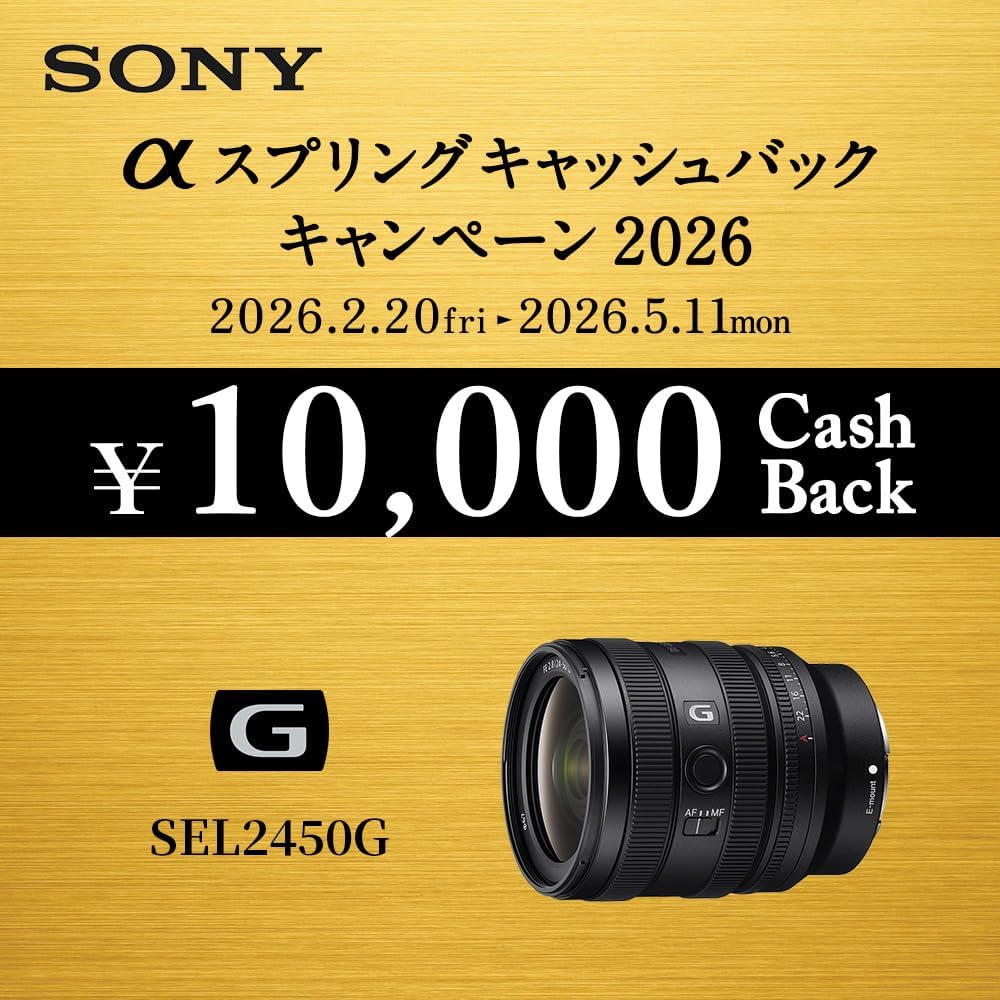 SONY (Sony) Standard Zoom Lens Full Size FE 24-50mm F2.8 G Lens Genuine Lens for Digital SLR Came...