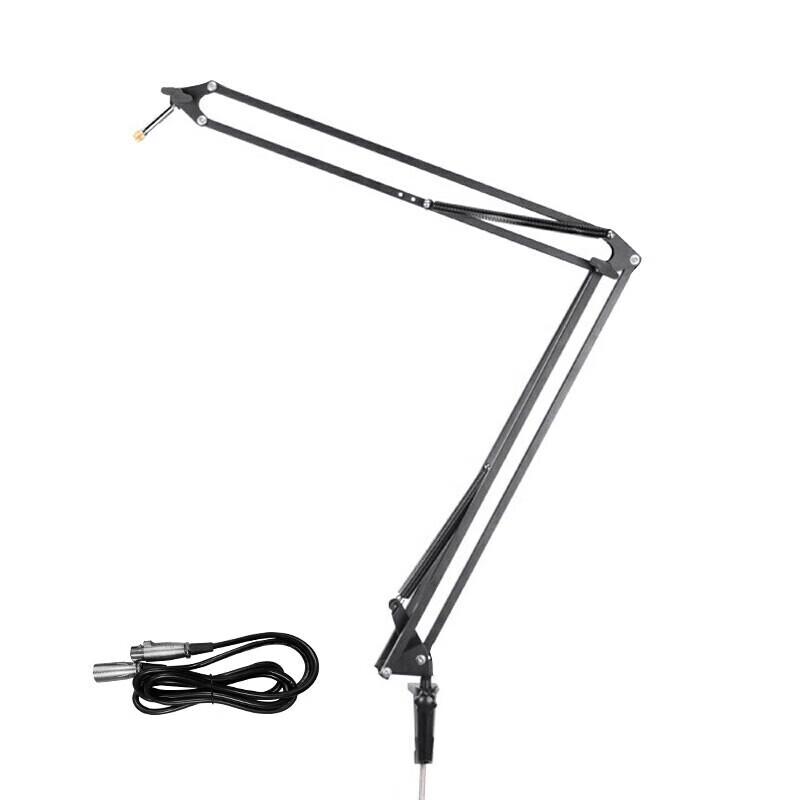 iSK Professional Microphone Boom Arm Stand