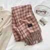 Plaid Striped Tassel Scarf for Men In Winter High End and Versatile  Fashionable Birthday Gift for Male and Female Students.