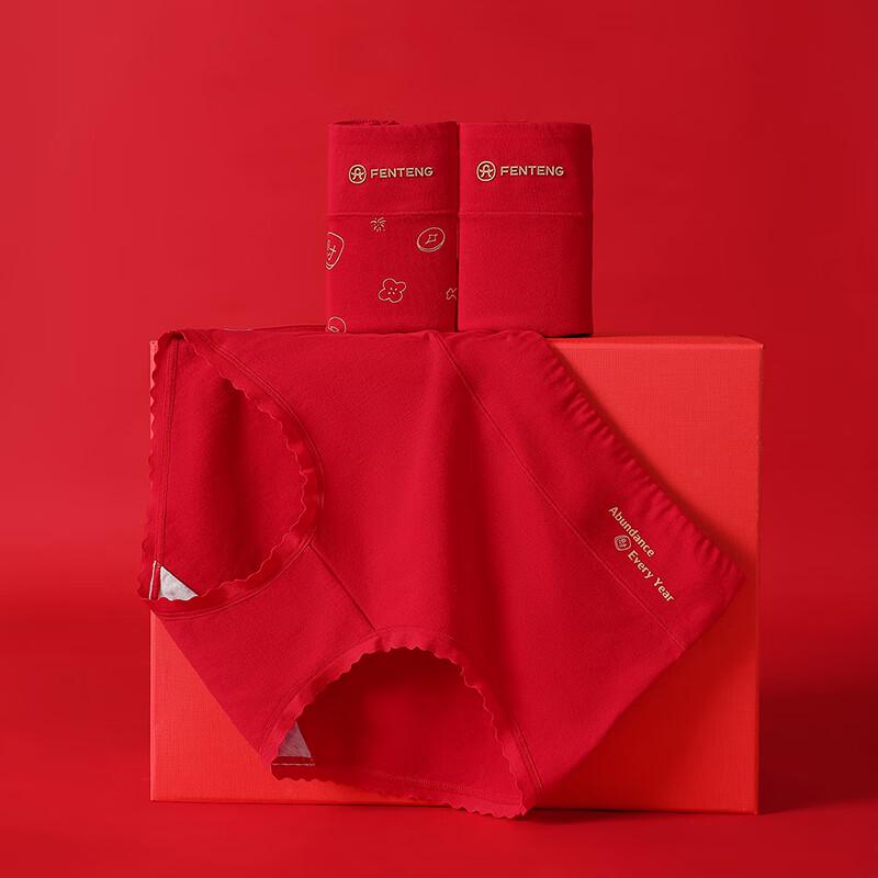 Fenteng Women's High-Waist Cloud Cotton Briefs 3-Pack