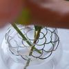 10-20cm Spiral Ikebana Stem Holder Vase Flower Arrangement Tools Accessory Spiral Stem Holder Grid Can DIY Bending Floral Frog