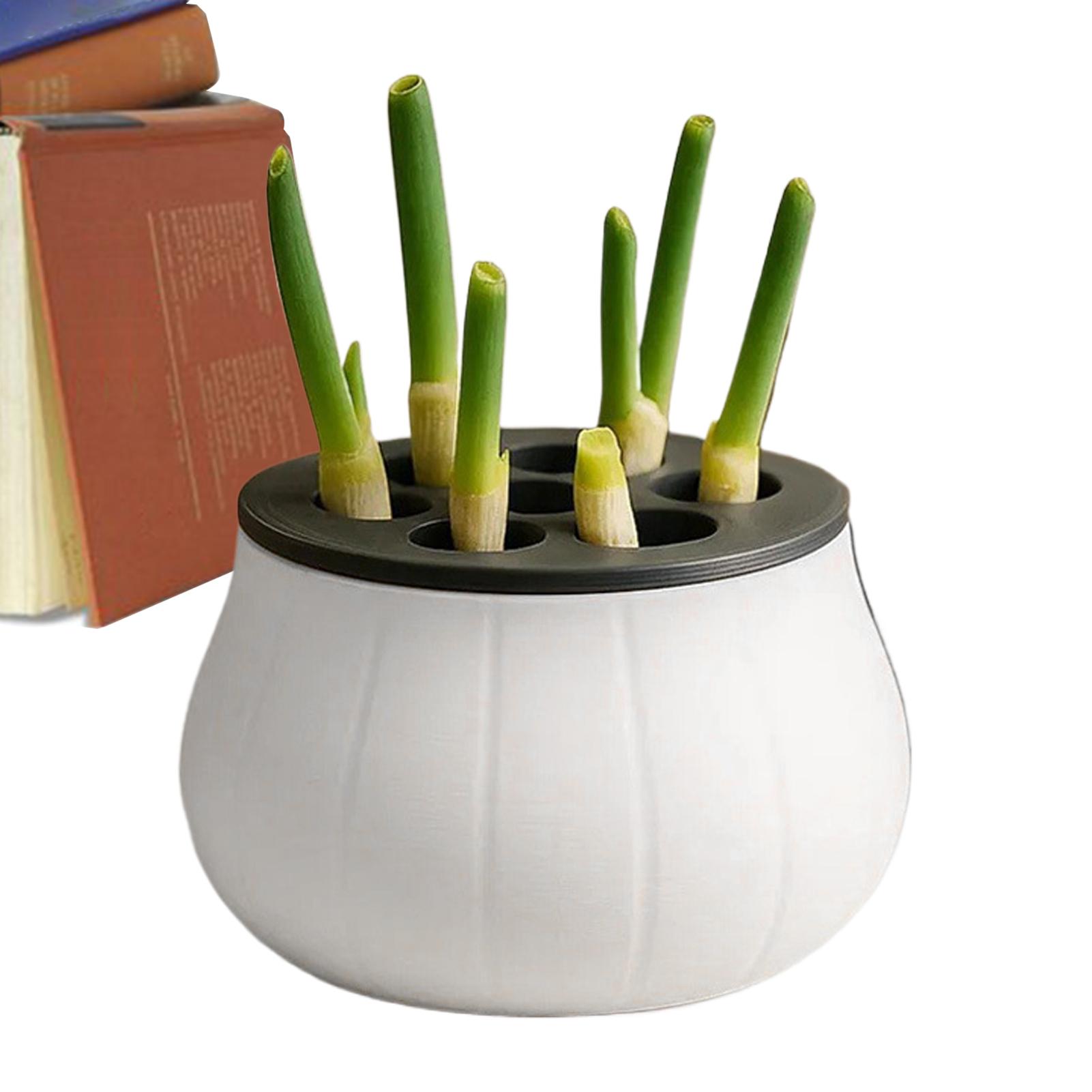 Hydroponic Green Onion Planter Cups Green Onion Rooting Station 3D Printing Hydroponic Container For Garden Farm CN