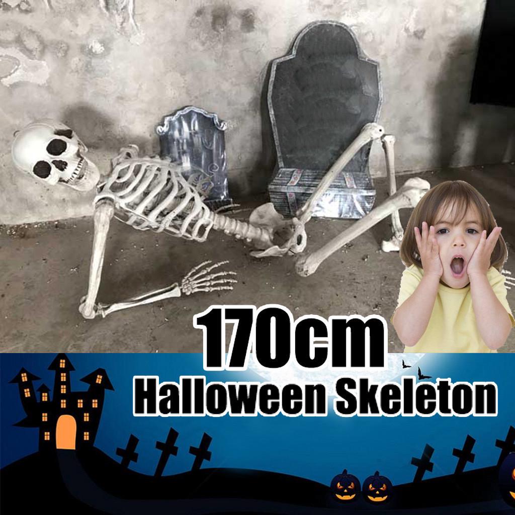 Halloween Skeleton Prop Human Full Size  Hand Life Body Anatomy Model Decor