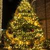 LED Solar String Lights 300LED 8 Modes Solar Powered Xmas Outdoor Lights Waterproof Starry Christmas Fairy Lights