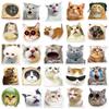 50PCS Cute Cartoon Cat Stickers for Phone and Cup Decoration