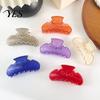 Halloween Themed Hair Clip High Elasticity Spring Claw, Translucent Jelly Texture Shark Clip, Claw for Women Pumpkin-Bat Design Back Head Daily