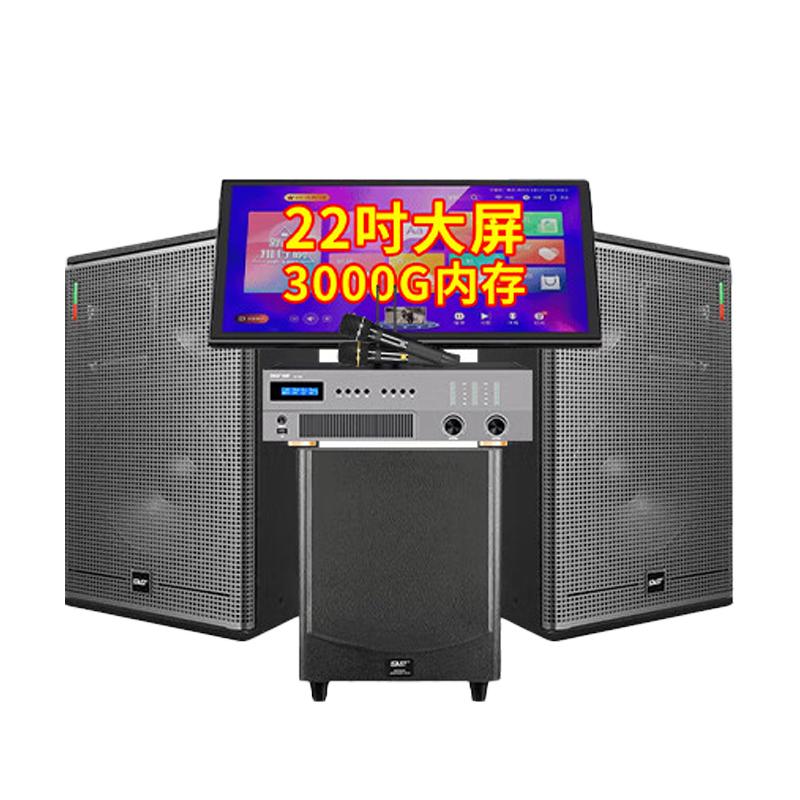 SAST All-in-One Home KTV System with 12-inch Speakers & Karaoke CN Plug (adapter Included)