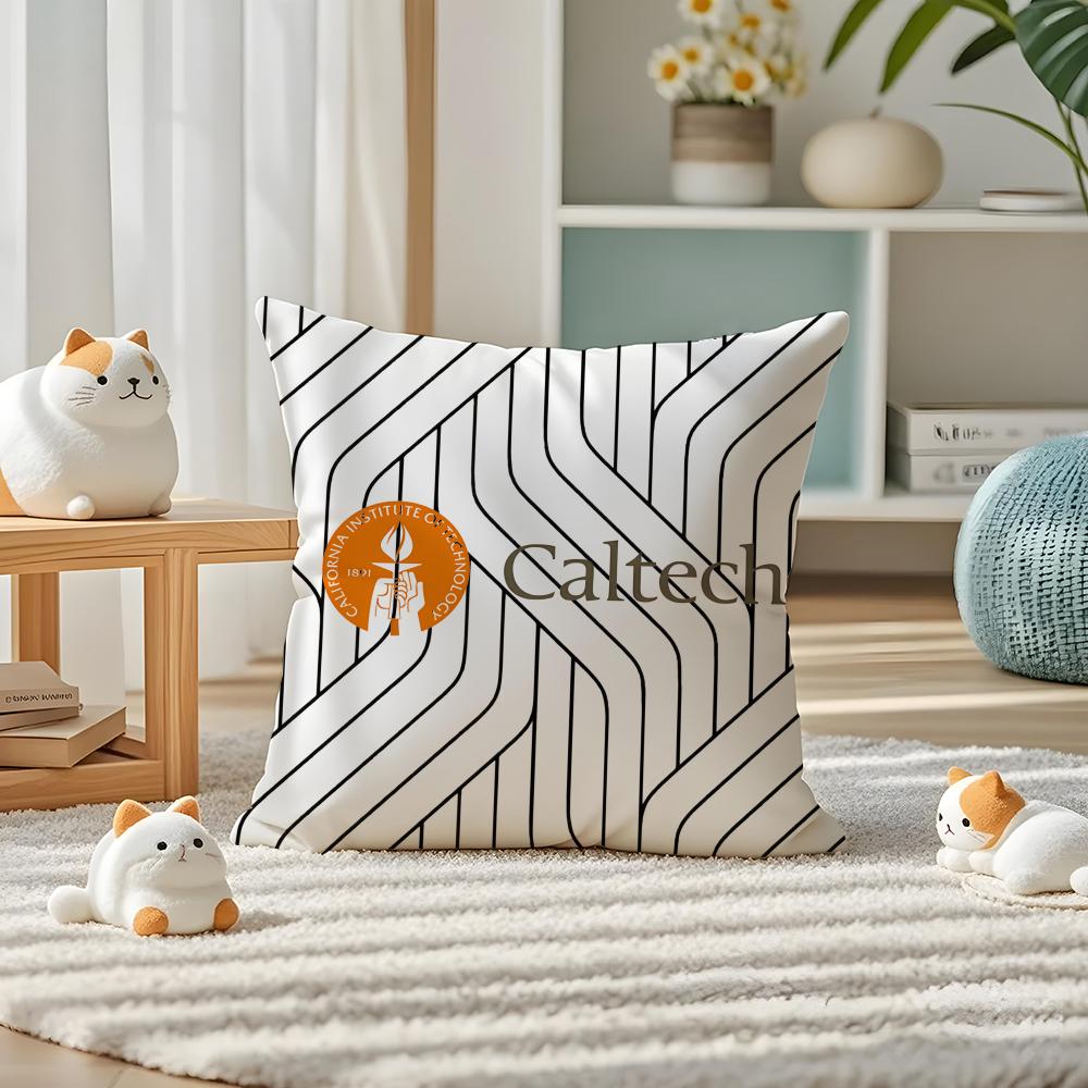 C-Caltech University Pillow Case Silky Elegant Comfort Sofa Bed Invisible Zipper Peach skin 18*18(CM)-1Pcs