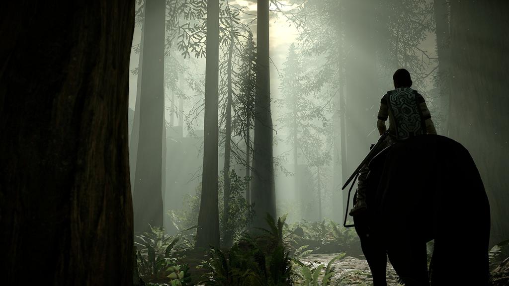 Shadow of the Colossus (Import: North America) - PS4