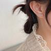 Shiny Zircon Star Flower Climbing Earrings for Women Exquisite Sliver Color Crystal Statement Earrings Jewelry Gifts Gothic