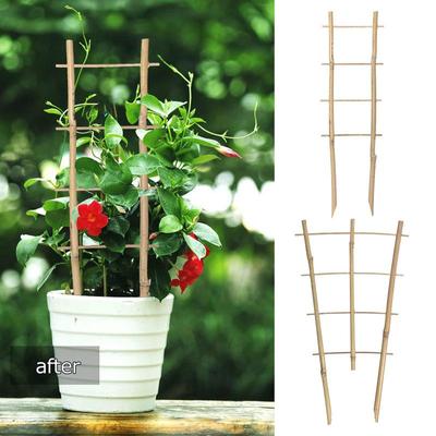 Bamboo Plant Trellis 6 Pcs Flowers Trellis For Yard With Twist Ties Plant Trellis For Potted Plants Flowers Vines Ivy