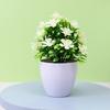 Compact Design Faux Flowers Indoor Décor Potted Plant
