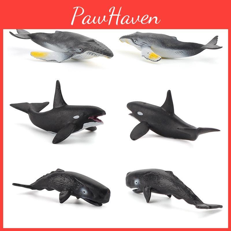 Realistic Marine Animal Models With Static Display For Aquarium Decoration And Educational Purposes