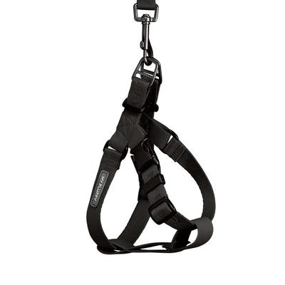 Köpek – Köpek Tasmaları ve Tasma Kayışları