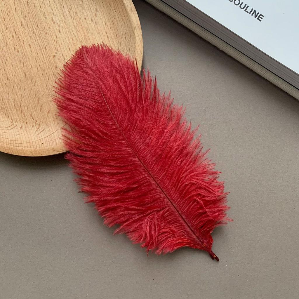 Color ostrich hair 15-20CM ostrich feather Internet celebrity photo background wall feather cake flower arrangement DIY decoration