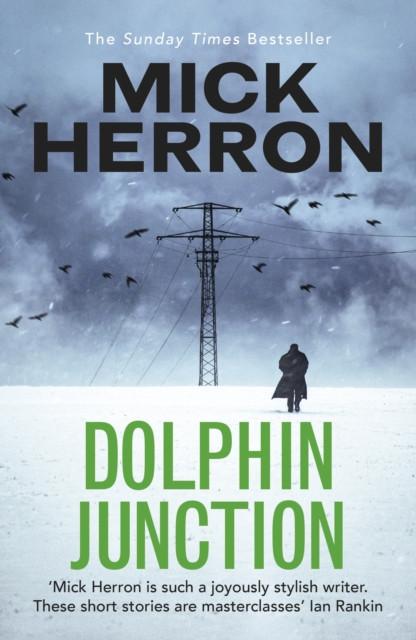Dolphin Junction by Mick Herron Paperback Book 9781529371284