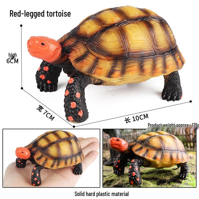 Wild Animal Model: Children's Simulation Turtle Gift Set - Tortoise Variants & Spiderweb Design.