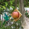 Parrot Toy Bird Fruit Fork Wooden Bird Feeder Fruit Basket Swing Stand